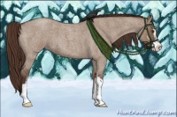 Horse Color:Liver Red Dun Roan Sabino
