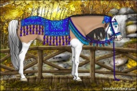 Horse Color:Bay Dun Splash 