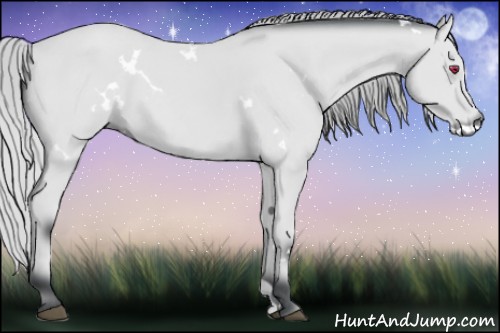 Horse Color:White Spotted Silver Bay Chinchilla 