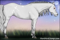 Horse Color:White Spotted Silver Bay Chinchilla 