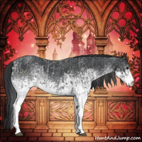 Horse Color:White Spotted Blue Roan Rabicano  and White Spotted Blue Roan Rabicano 
