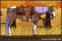 Horse Color:Painted Bay Splash Tobiano