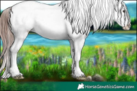 Horse Color:White Spotted Chocolate Black Sabino Splash Appaloosa 
