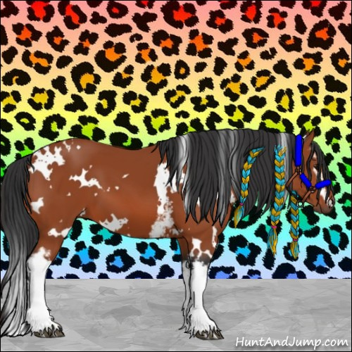 Horse Color:White Spotted Bay 