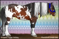 Horse Color:White Spotted Brown 