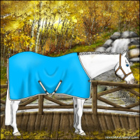 Horse Color:Silver Bay Pearl Dun Sabino Splash 