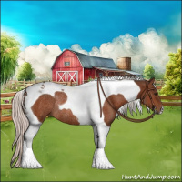 Horse Color:Silver Bay Tobiano Rabicano 