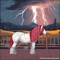 Horse Color:Painted White Spotted Liver Red Onyx Ice Tobiano Appaloosa