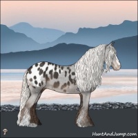 Horse Color:Liver Chestnut Mushroom Sabino Appaloosa 