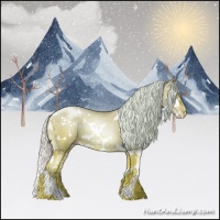 Horse Color:White Spotted Silver Buckskin Chinchilla Pearl Dun Sabino Splash 