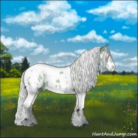 Horse Color:Silver Smoky Grullo Chinchilla Splash Tobiano Appaloosa