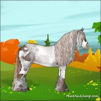 Horse Color:Liver Red Roan Splash Tobiano 