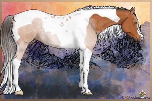 Horse Color:Buckskin Tobiano Rabicano