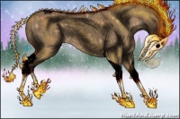 Horse Color:Void Bay Roan Dun Tobiano 