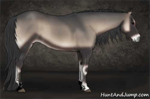 Horse Color:Void Blue Onyx Sabino 