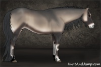 Horse Color:Void Blue Onyx Sabino 