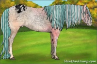 Horse Color:Void Painted Palomino Snowdrop Sabino Varnish Rabicano 