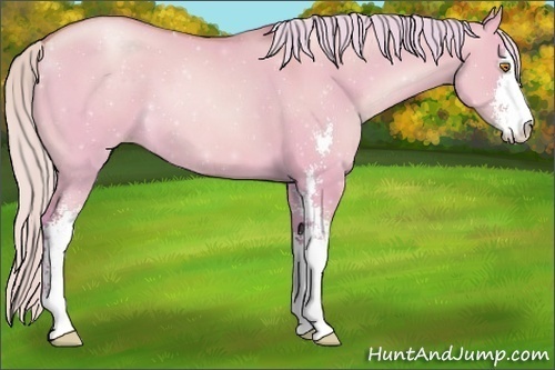 Horse Color:Watercolor Silver Grullo Pearl Sabino