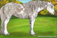 Horse Color:Silver Black Ice Sabino 