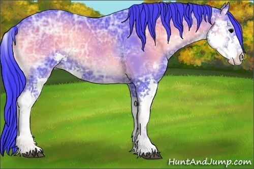 Horse Color:Watercolor Blue Onyx Ice Sabino Rabicano 