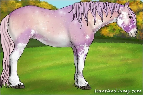 Horse Color:Watercolor Silver Blue Onyx Sabino 
