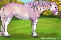 Horse Color:Watercolor Silver Blue Onyx Sabino 