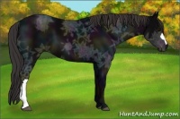 Horse Color:Midnight Smoky Black Ice