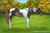 Horse Color:Gray Liver Chestnut Tobiano Rabicano