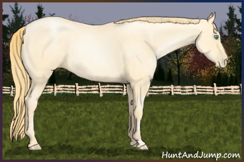 Horse Color:Buckskin Roan Pearl  and Buckskin Roan Pearl 