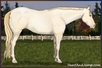 Horse Color:Buckskin Roan Pearl  and Buckskin Roan Pearl 