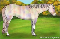 Horse Color:Nacre Silver Bay Onyx Tobiano