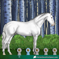 Horse Color:Liver Chestnut Mushroom Appaloosa 