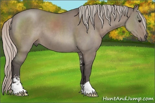 Horse Color:Silver Grullo Sabino