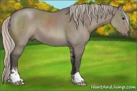 Horse Color:Silver Grullo Sabino 
