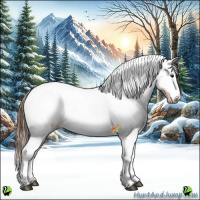 Horse Color:White Spotted Buckskin Blanket 