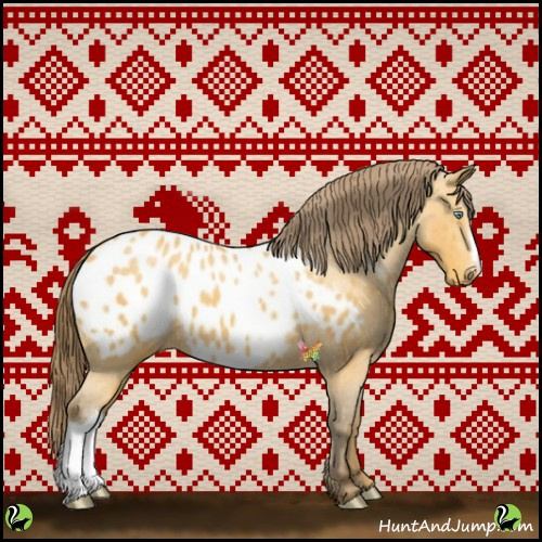 Horse Color:Amber Cream Champagne Appaloosa 