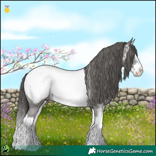 Horse Color:Grullo Sabino Splash Near Fewspot 