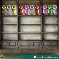 Horse Color:Gold Cream Champagne Dun Sabino Appaloosa  and White Spotted Chocolate Palomino 