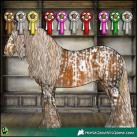 Horse Color:Gold Cream Champagne Dun Sabino Appaloosa  and White Spotted Chocolate Palomino 