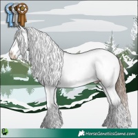 Horse Color:White Spotted Brown Pearl Appaloosa 