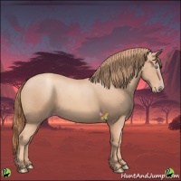 Horse Color:Gold Champagne