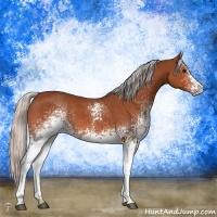 Horse Color:White Spotted Silver Bay 