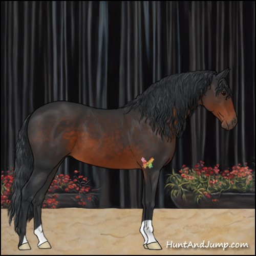 Horse Color:Brown 