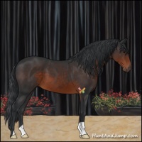 Horse Color:Brown 