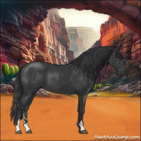 Horse Color:Black Sabino
