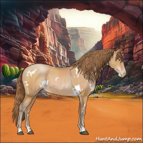 Horse Color:White Spotted Bay Pearl Sabino 