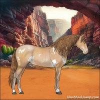 Horse Color:White Spotted Bay Pearl Sabino