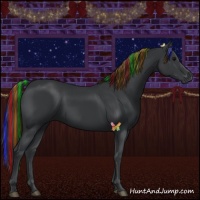 Horse Color:Painted Black 