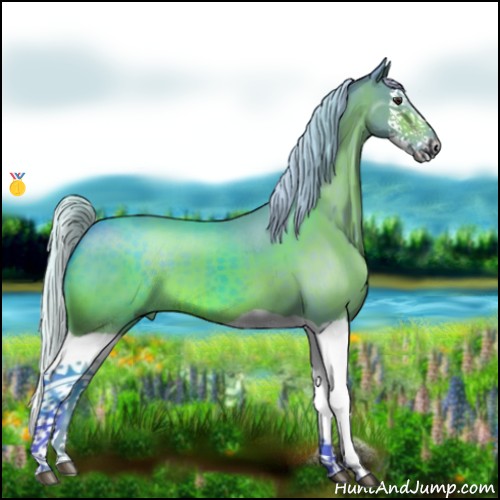 Horse Color:Watercolor Silver Brown Splash 