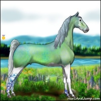 Horse Color:Watercolor Silver Brown Splash